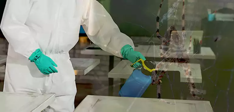 Why Buyers Still Want Homes With Pest Infestations in Chesapeake, VA?