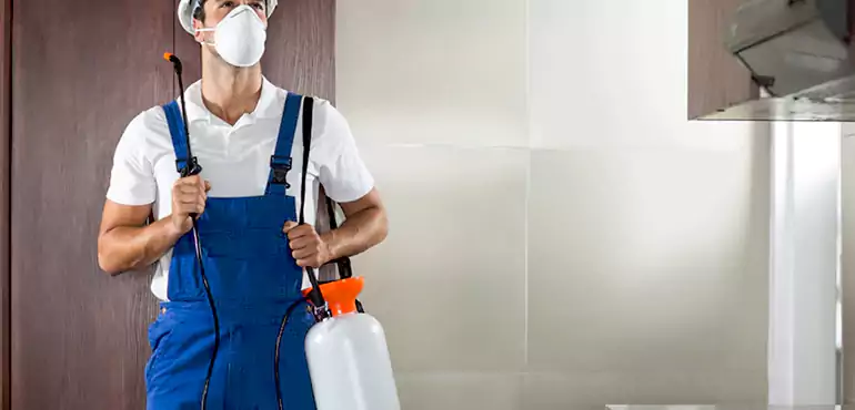 Why Chesapeake Homeowners Choose Us When Pests Make Selling Difficult