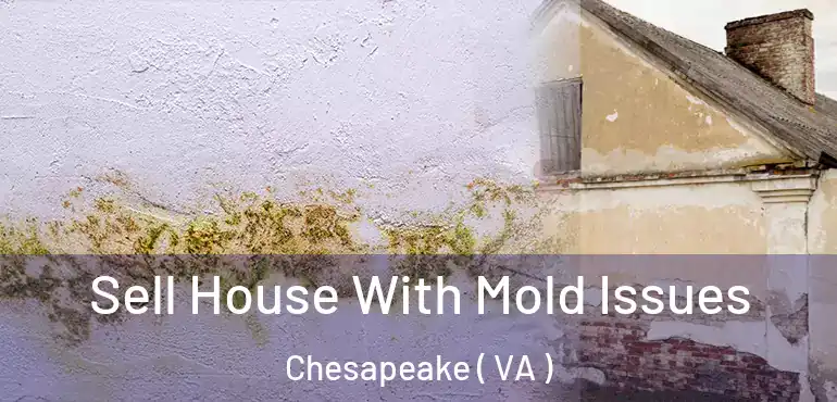  Sell House With Mold Issues Chesapeake ( VA )